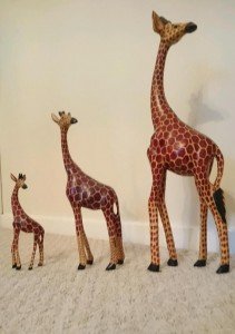 three giraffes