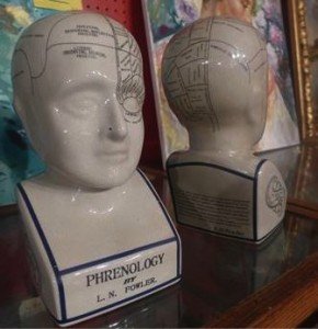 phrenology heads