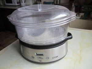 Logik steamer