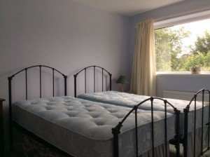 iron twin beds