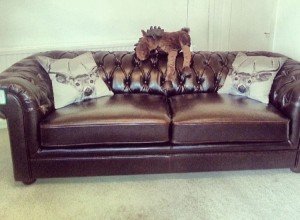 Chesterfield sofa