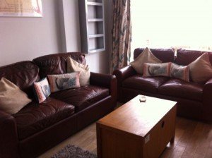 chocolate brown sofas