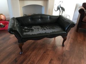 sofa