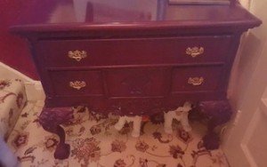 mahogany drawers